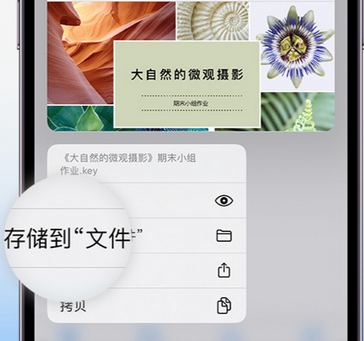 勐海apple维修中心分享iPhone文件应用中存储和找到下载文件