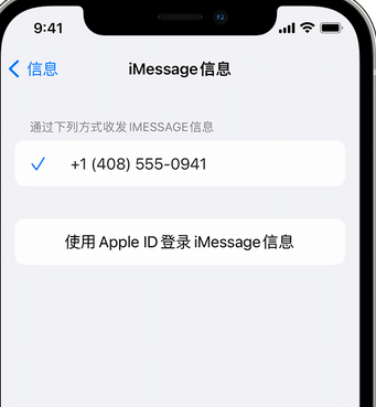 勐海apple维修iPhone上无法正常发送iMessage信息 