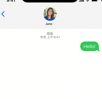 勐海apple维修iPhone上无法正常发送iMessage信息