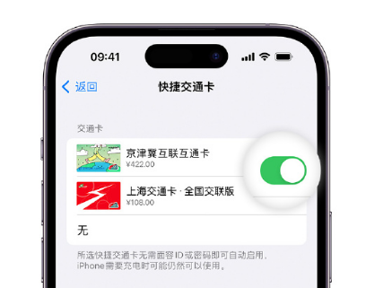 勐海apple维修点分享iPhone上更换Apple Pay快捷交通卡手绘卡面 