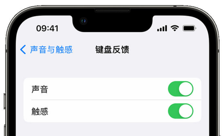 勐海苹果手机维修分享iPhone 14触感键盘使用方法 