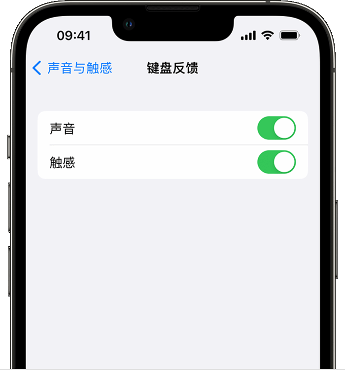 勐海苹果14维修店分享如何在 iPhone 14 机型中使用触感键盘 