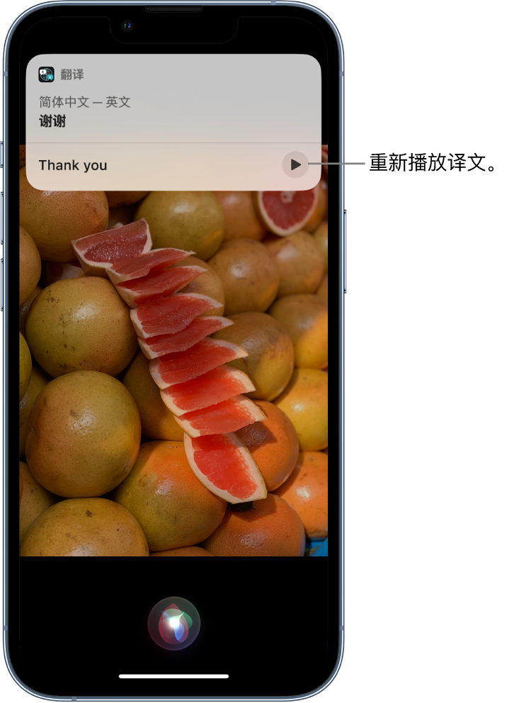 勐海苹果14维修分享 iPhone 14 机型中使用 Siri：了解 Siri 能帮你做什么 