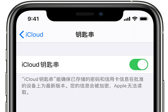 勐海苹果手机维修分享在 iPhone 上开启 iCloud 钥匙串之后会储存哪些信息 