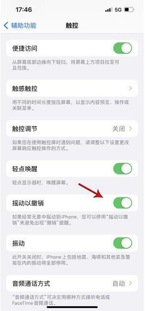 勐海苹果手机维修分享iPhone手机如何设置摇一摇删除文字 